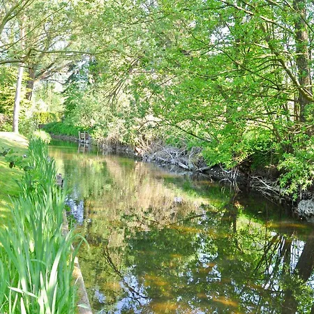 Ferienhaus Rheinsberg Tatil Evi *